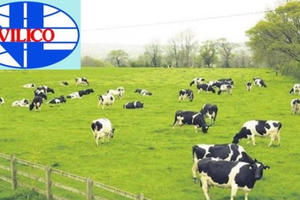 Vilico (VLC) chốt giá chuyển nhượng dự án thịt bò Tam Đảo hơn 1.170 tỷ đồng cho công ty con