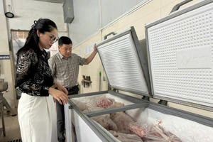 Siết quản lý thực phẩm bẩn: Có thể phong tỏa kho hàng và cưỡng chế khẩn cấp