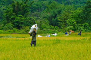 Hội Nông dân xã Hướng Lập phát huy vai trò 'điểm tựa' của nông dân vùng biên Hội Nông dân xã Hướng Lập phát huy vai trò 'điểm tựa' của nông dân vùng biên