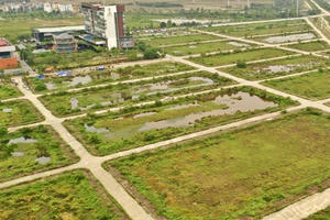 Hà Nội sắp đấu giá 10 lô đất tại Nội Bài, giá khởi điểm gần 22 triệu đồng/m2