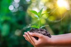Muôn vàn ước mong cho một đời tận hiến