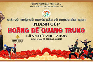 Hơn 700 vận động viên sẽ tham gia Giải Võ thuật cổ truyền Bình Định