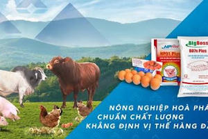Nông nghiệp Hòa Phát (HPA) xuất bán hơn 212.000 con heo và gần 177.000 tấn thức ăn chăn nuôi trong nửa đầu năm 2026