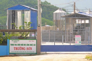 Đà Nẵng phạt doanh nghiệp chăn nuôi 625 triệu đồng, nhiều lần bị 'tuýt còi' vì vi phạm môi trường