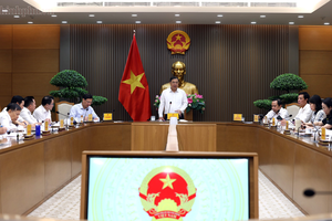 Rà soát, xử lý vướng mắc trong pháp luật đấu thầu, đề xuất sửa đổi Luật Đấu thầu