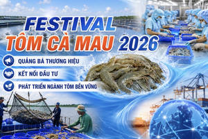 Cà Mau sẽ tổ chức Festival Tôm lần thứ II năm 2026 