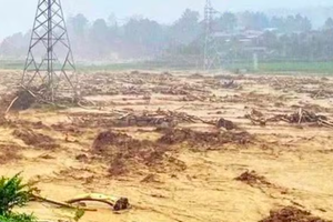 Mưa lũ gây thiệt hại nặng nề về người và tài sản tại nhiều tỉnh Tây Bắc Mưa lũ gây thiệt hại nặng nề về người và tài sản tại nhiều tỉnh Tây Bắc