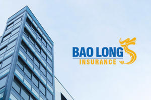 Lãi quý II gấp 20 lần cùng kỳ, vì sao lợi nhuận bán niên của Bảo hiểm Bảo Long (BLI) vẫn sụt giảm?