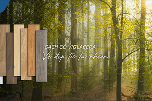 Viglacera (VGC): Lãi quý III tăng gấp 5,2 lần, mảng kính và gương chuyển từ lỗ sang lãi Viglacera (VGC): Lãi quý III tăng gấp 5,2 lần, mảng kính và gương chuyển từ lỗ sang lãi
