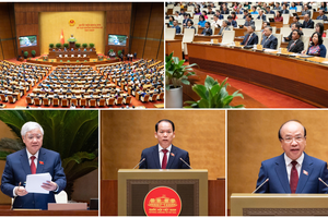 Quốc hội nghe Tờ trình và Báo cáo thẩm tra dự án Luật Phổ biến, giáo dục pháp luật (sửa đổi)