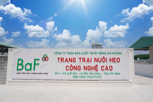 Nông nghiệp BAF Việt Nam (BAF) lập công ty con vốn 100 tỷ đồng tại Gia Lai