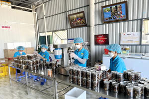 Cà Mau "khát" nhân lực chất lượng cao, cần hơn 11.700 lao động Cà Mau "khát" nhân lực chất lượng cao, cần hơn 11.700 lao động