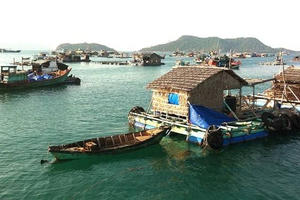 Từ 18/8/2026, nhiều hành vi vi phạm thủy sản bị xử phạt
