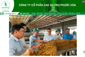 Cao su Phước Hòa (PHR): Dành 1.000 tỷ đồng phát hành cổ phiếu thưởng tỷ lệ 80%, lãi bán niên tăng bằng lần