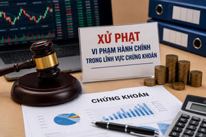Do chậm công bố thông tin, Công ty Năng lượng Trung Nam bị 'tuýt còi' phạt 