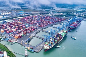 TP HCM triển khai quyết định thành lập Khu thương mại tự do gắn với cảng biển khu vực Cái Mép Hạ TP HCM triển khai quyết định thành lập Khu thương mại tự do gắn với cảng biển khu vực Cái Mép Hạ
