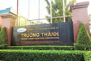 Lỗ lũy kế 'ăn mòn' 86% vốn điều lệ, Gỗ Trường Thành (TTF) xin gia hạn công bố báo cáo bán niên