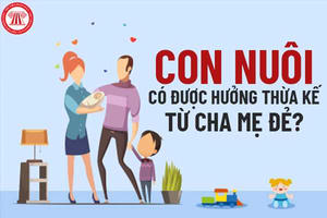 Rạch ròi hệ quả pháp lý trong nuôi con nuôi - không còn “thỏa thuận tùy nghi”