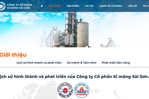 Xi măng Sài Sơn bị phạt và truy thu hơn 1,66 tỷ đồng do vi phạm thuế