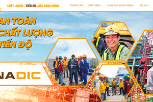 Phát triển Đầu tư Xây dựng Việt Nam (Vinadic) được giao, thuê hơn 4,8ha đất làm chợ nguyên liệu gỗ Vân Hà