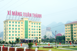 Lợi nhuận bán niên tăng vọt 90%, Xi măng Xuân Thành giảm nợ vay nghìn tỷ
