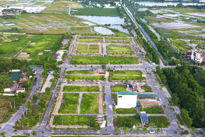 Hà Nội cho thuê đất tại Thư Lâm xây chợ nguyên liệu gỗ Vân Hà