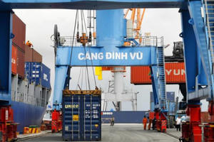 Cảng Đình Vũ (DVP) chuẩn bị chi 120 tỷ đồng trả cổ tức đợt cuối năm 2025
