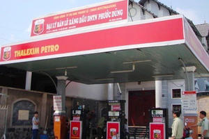 Thalexim (TLP): Cổ phiếu tăng vọt 61% giữa gánh nặng nợ vay và quỹ đất 300 ha chậm sinh lời