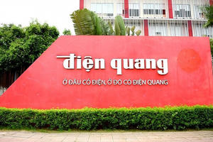Tập đoàn Điện Quang (DQC) bị xử phạt do công bố sai lệch lợi nhuận, bức tranh bán niên có gì nổi bật?
