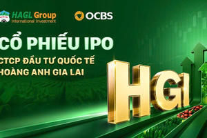 Chậm công bố nhiều tài liệu liên quan đến trái phiếu, Đầu tư Quốc tế Hoàng Anh Gia Lai (HGI) bị phạt