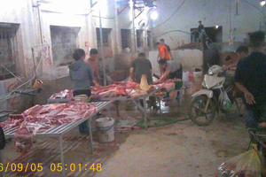 Thâm nhập những lò mổ không đủ tiêu chuẩn, vẫn “hành dân” ở Tuyên Quang