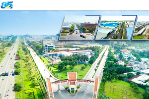 Sonadezi (SNZ) sắp chi hơn 542 tỷ đồng trả cổ tức, tỷ lệ 14,4% 