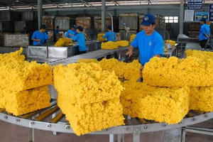 Cao su Phước Hòa (PHR): Định hướng phát triển khu công nghiệp, nông nghiệp công nghệ cao và điện mặt trời