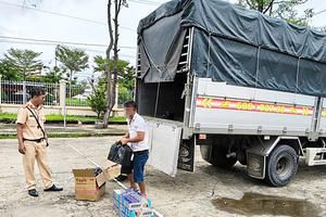 Điểm tin Pháp Luật ngày 26/09: Phát hiện, bắt giữ xe ôtô tải vận chuyển 900 bao thuốc lá lậu tại An Giang
