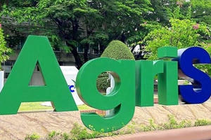 Chủ tịch Đặng Huỳnh Ức My chi lớn gom 11 triệu cổ phiếu, AgriS (SBT) tái cấu trúc loạt công ty con