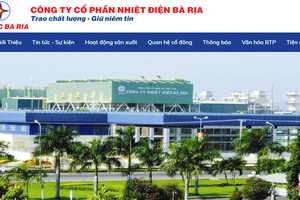 Nhiệt điện Bà Rịa (BTP) dự kiến chi hơn 30 tỷ đồng để trả cổ tức năm 2025