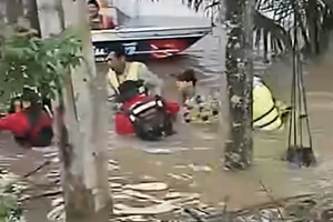 Thái Lan di dời cá sấu nặng 400 kg khỏi ngôi chùa ngập lụt