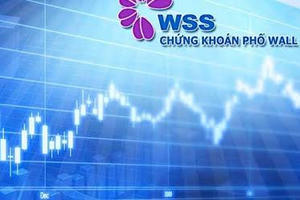 Chứng khoán Phố Wall (WSS) bị phạt 92,5 triệu đồng vì giấu thông tin giao dịch cổ phần