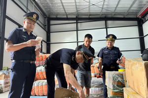 Ngành Hải quan trọng tâm kiểm tra, kiểm soát hàng hóa xuất nhập khẩu qua biên giới
