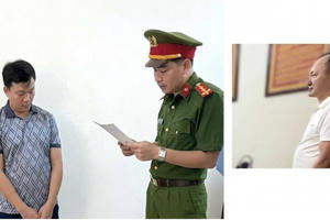 Khởi tố giám đốc công ty khai thác đá do vi phạm về kế toán gây hậu quả nghiêm trọng