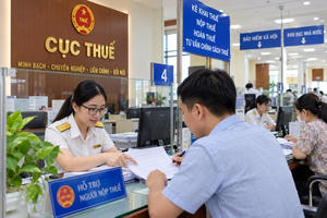 Bộ Tài chính tổ chức lại hệ thống thuế, kho bạc, hải quan từ 1/10 Bộ Tài chính tổ chức lại hệ thống thuế, kho bạc, hải quan từ 1/10