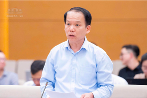 Tinh gọn hệ thống văn bản quy phạm pháp luật

