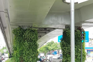Hà Nội thử nghiệm phủ xanh trụ cầu, hầm chui, nhà chờ xe buýt