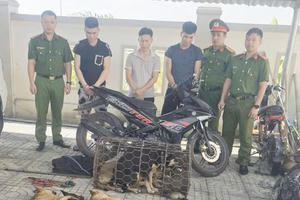 Nhóm đối tượng dùng súng tự chế nối dây điện trộm chó trong đêm