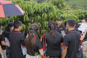 Từ học viên thành người ‘truyền lửa’: Hành trình đưa an toàn lao động về với các nông trại cà phê
