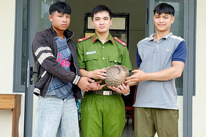 Cá thể tê tê quý hiếm được người dân ở Quảng Ngãi tự nguyện giao nộp