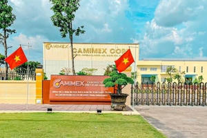 Camimex Group (CMX) rầm rộ gọi vốn gần 700 tỷ đồng, quy mô vượt xa mức vốn hóa