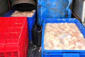 Phát hiện ô tô chở hơn 800kg lòng lợn bốc mùi hôi thối