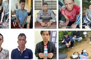 Công an Sơn La liên tiếp triệt phá 6 vụ án ma túy, bắt giữ 11 đối tượng 