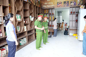 Vợ chồng chủ kênh “Già làng Tây Nguyên” bị khởi tố vì xâm phạm nhãn hiệu sâm Ngọc Linh